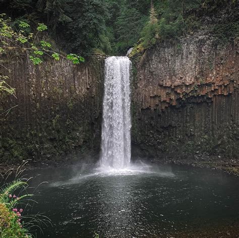 Photos of Abiqua Falls Trail - Oregon | AllTrails