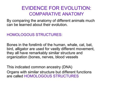 Comparative Anatomy Ppt