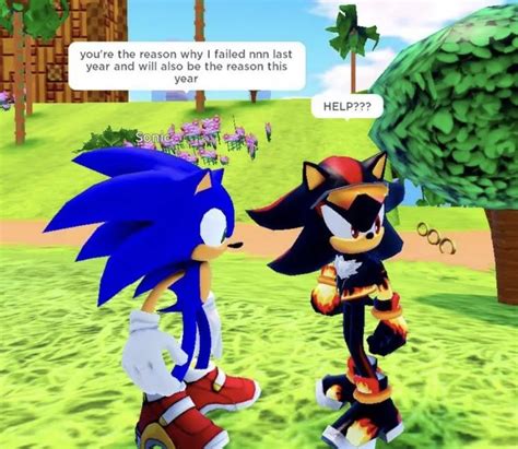 Pin By Toast On Sonic Memes Sonic And Shadow Sonic Funny Hedgehog Movie