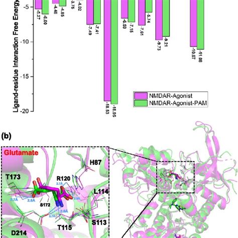 Orthosteric Binding Pocket Comparison In Abl Antagonistpam After Md