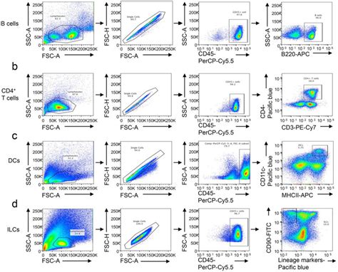 Gating Strategy Used In Flow Cytometry Analysis Experiments Live Immune