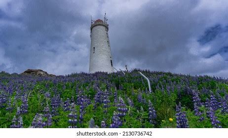 Reykjanes Lighthouse One Symbols Reykjanes Peninsula Stock Photo ...