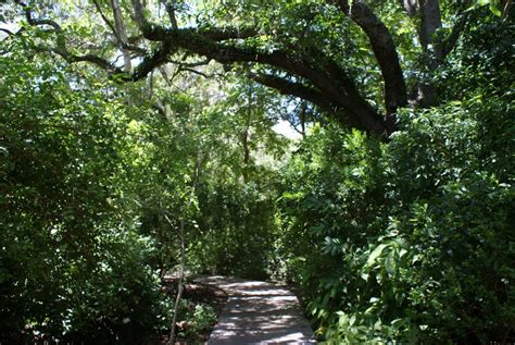 Lisa D. Anness South Florida Butterfly Garden - Fairchild Tropical ...