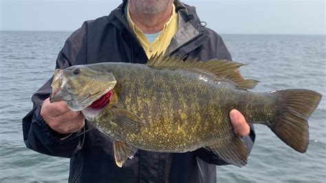 Mille Lacs Lake Smallmouth Bass And Walleye Fishing Report For Memorial