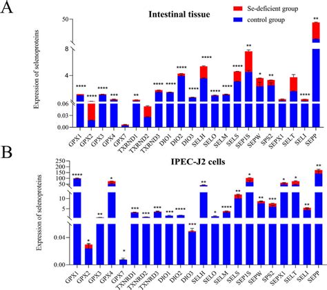 The Mrna Expressions Of Selenoproteins In Ipec J Cells And Swine