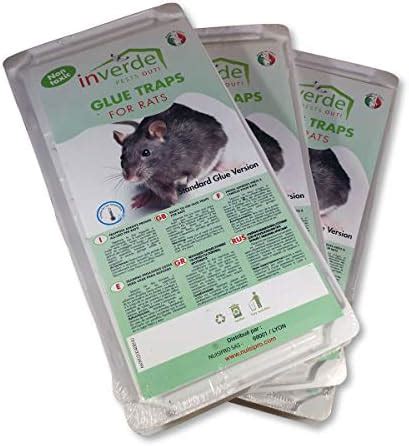 Pi Ge Colle Lots Plaques Plastique De Glu Anti Rat Et Anti