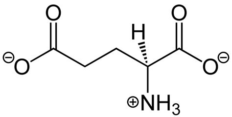 Glutamate (neurotransmitter) - Wikipedia Structural Formula, Glutamate, Neurotransmitters ...