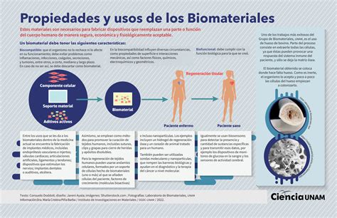 La Ciencia De Los Biomateriales Ciencia Unam