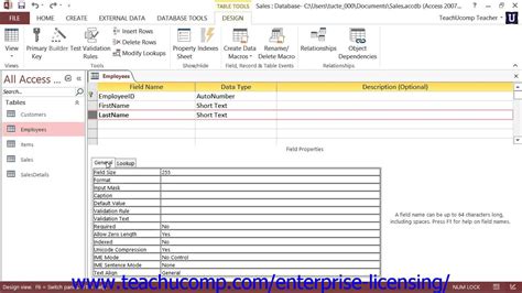 Microsoft Office Access Tutorial Field Properties Employee