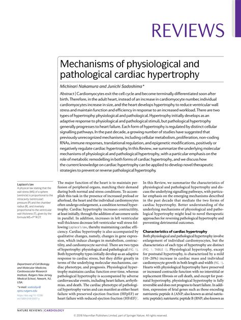 Solution Mechanisms Of Physiological And Pathological Cardiac