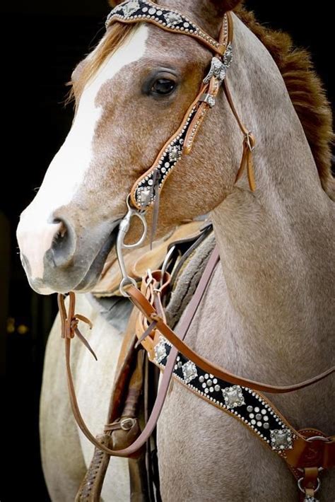 206 Best Images About Beautiful Tack On Pinterest Horse Bridle