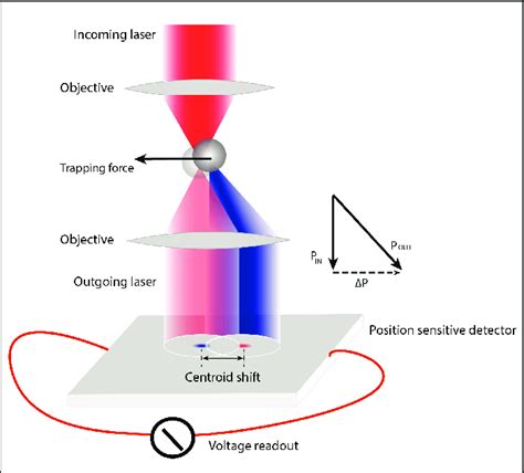 Principles Of Optical Trapping And Displacement Detection As A Bead Is