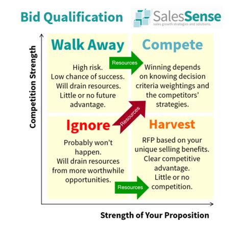 Bid Strategy, Bid Win Tactics, RFP Request for Proposal Responses