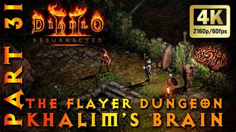 Diablo Ii Resurrected Necromancer Act Iii Khalim S Brain