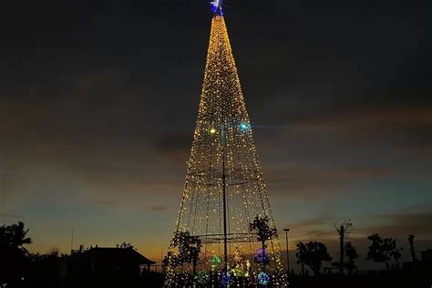 Pohon Natal Raksasa Muncul Malam Hari Di Pantai Jerman Bahan Ini Yang