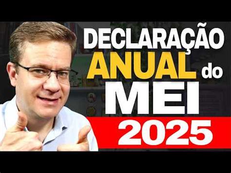 MEI já pode fazer a declaração anual obrigatória