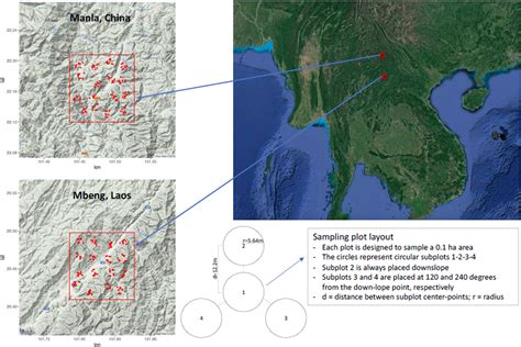 Drivers Of Soil Organic Carbon Stock During Tropical Forest Succession