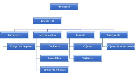 Organigrama De Un Restaurante De Lujo Sugarcult Hot Sex Picture