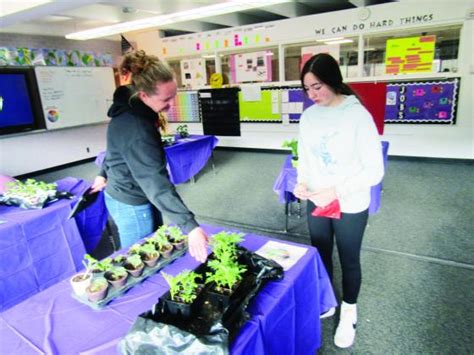 Rye Elementary Carnival Was A Stunning Success Greenhorn Valley View