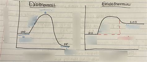 AP Biology Chapter 8 All Diagram Quizlet