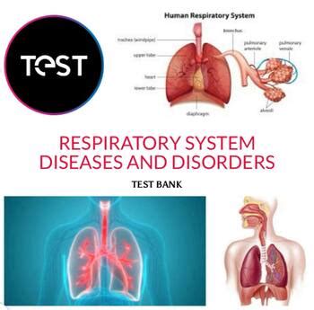 Respiratory System Diseases And Disorders Test Bank By Irina Djavakyants