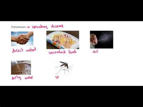 AQA GCSE Biology Paper 1 Communicable Diseases YouTube