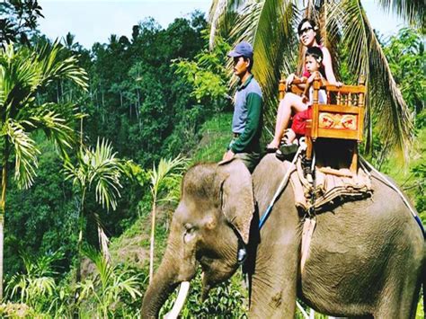 Elephant Ride And Kintamani Tour Package Cosmo Bali Tour Service With