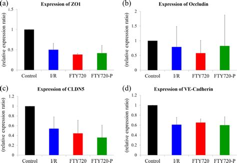 Mrna Expression Of Tight And Adherens Junctional Proteins In Transient