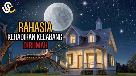 Serba Serbi Kelabang Lipan Masuk Rumah Jejak Rezeki Atau Pertanda