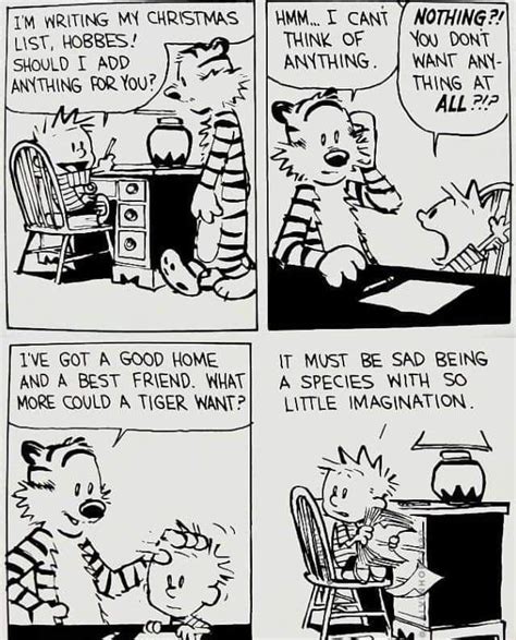 Pin By Julie Sealock On Calvin And Hobbs In 2024 Calvin And Hobbes