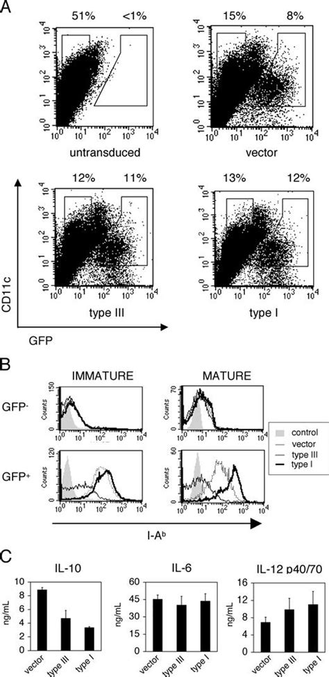 Enhanced Production Of Il 10 By Dendritic Cells Deficient In Ciita1