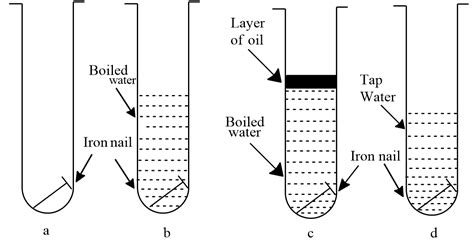 First Class Info About How To Prevent Rusting On Iron Nails - Matehope54