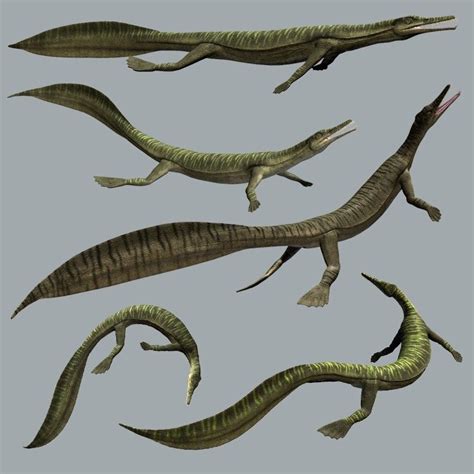Mesosaurus Facts Information About The Extinct Prehis