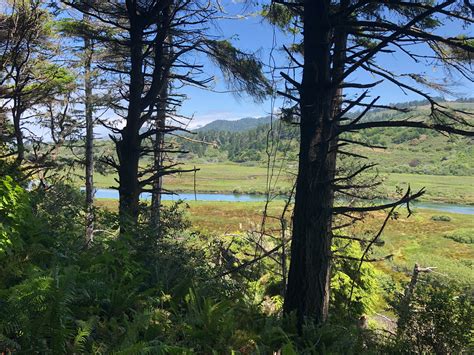 Mendocino Land Trust - Home