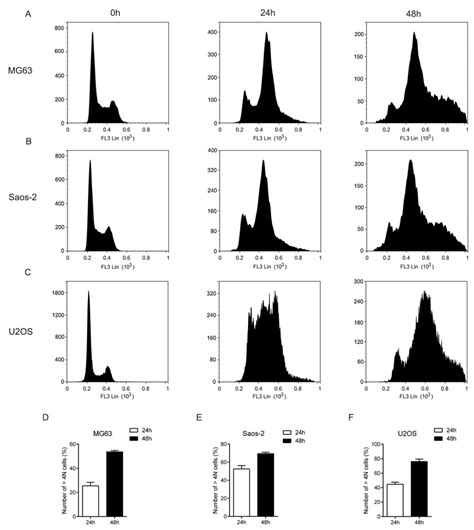 Mln4924 Causes G2m Cell Cycle Arrest In Osteosarcoma Cells Three