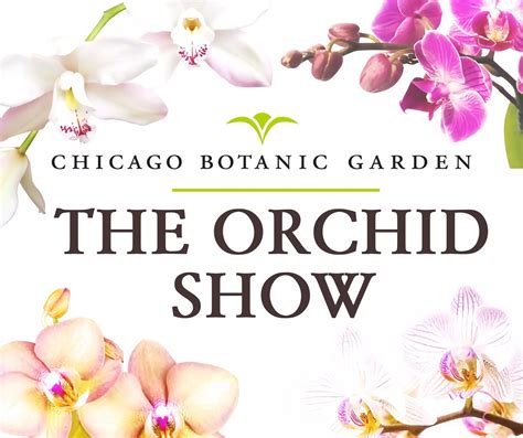 Highlights From The 2023 Chicago Botanic Garden Orchid Show