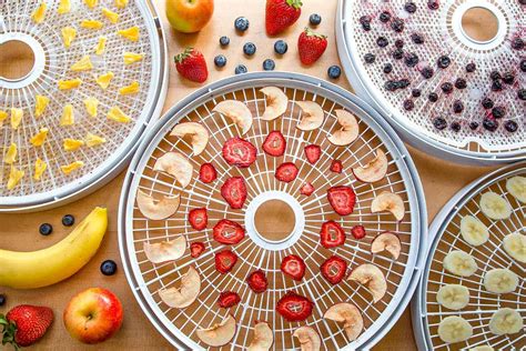 The Ultimate Guide To Dehydrating Food Fresh Off The Grid