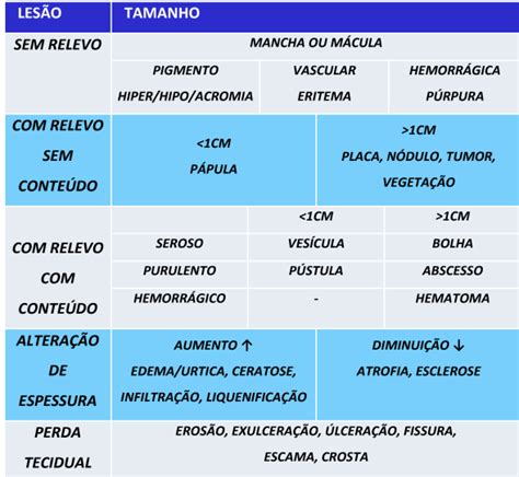 Lesões Elementares Da Classificação Ao Diagnóstico Dermatológico Pebmed