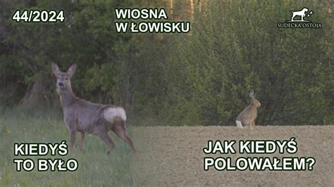 Poranne Wyj Cie Z Mariuszem Jak Kiedy Si Polowa O Sudecka Ostoja