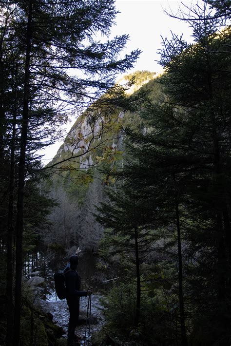 Mount Marshall Stream And Steeple