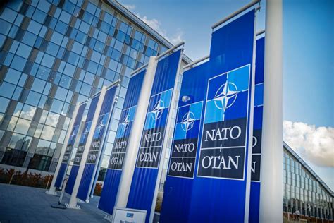 NATO Suspends European Conventional Armed Forces Treaty After Russia S