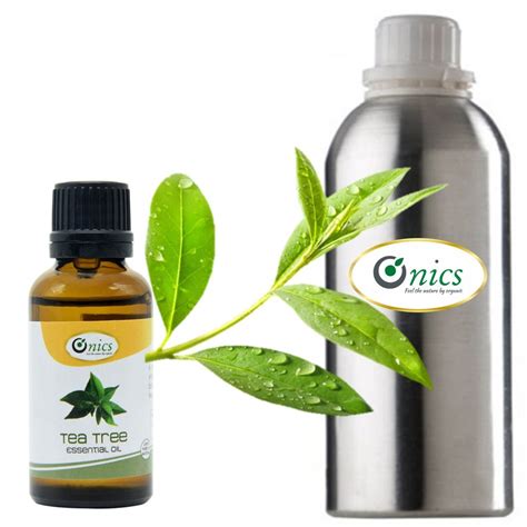 Tea Tree Natural Essential Oil At Rs 2200 Kg Tea Tree Essential Oil