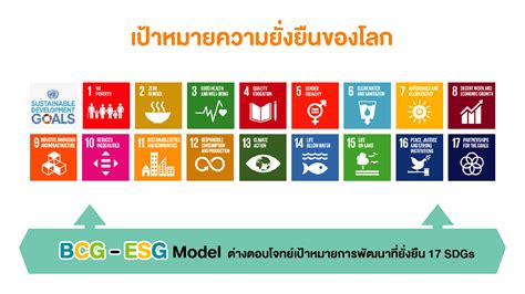 Esg และ Bcg Model เชื่อมโยงกับกับความยั่งยืนของธุรกิจอย่างไร