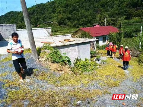 永定区谢家垭乡：巾帼她力量 助力我先行腾讯新闻