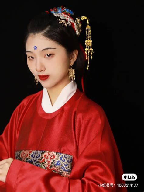 Hanfu Chinese Ming Dynasty Traditional Clothing Hanfu In