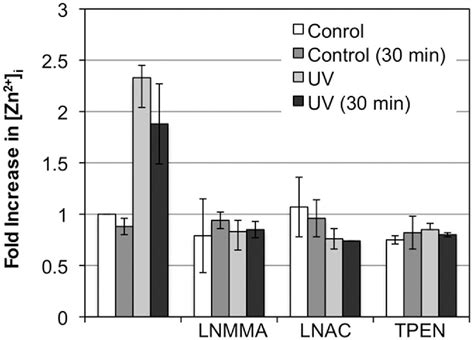 Figure From Nitric Oxide Synthase Activation And Oxidative Stress