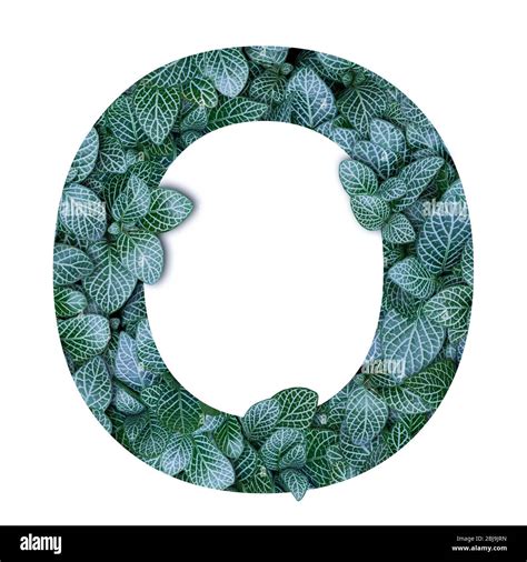 Nature Concept Alphabet Of Green Leaves In Alphabet Letter O Shapes