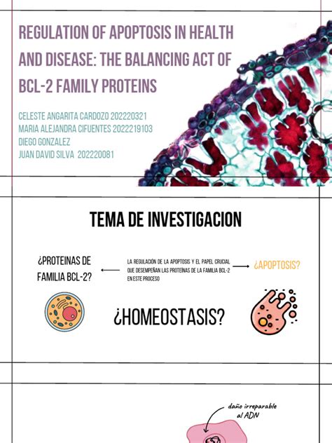 Regulation of Apoptosis in Health and Disease. The Balancing Act of BCL ...