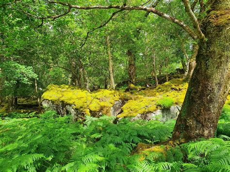 Ireland - The Emerald Isle rediscovered