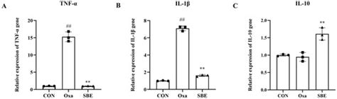 Antioxidants Free Full Text The Interaction Between Oxidative